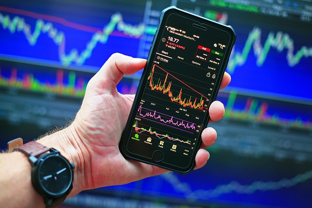 A Importância da Diversificação em Investimentos